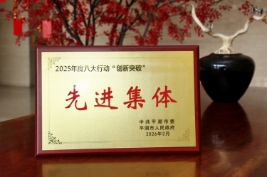 策马扬鞭启新程！银河官方入口(中国)最新官网入口在平湖市三级干部大会上荣获“创新突破”双项荣誉